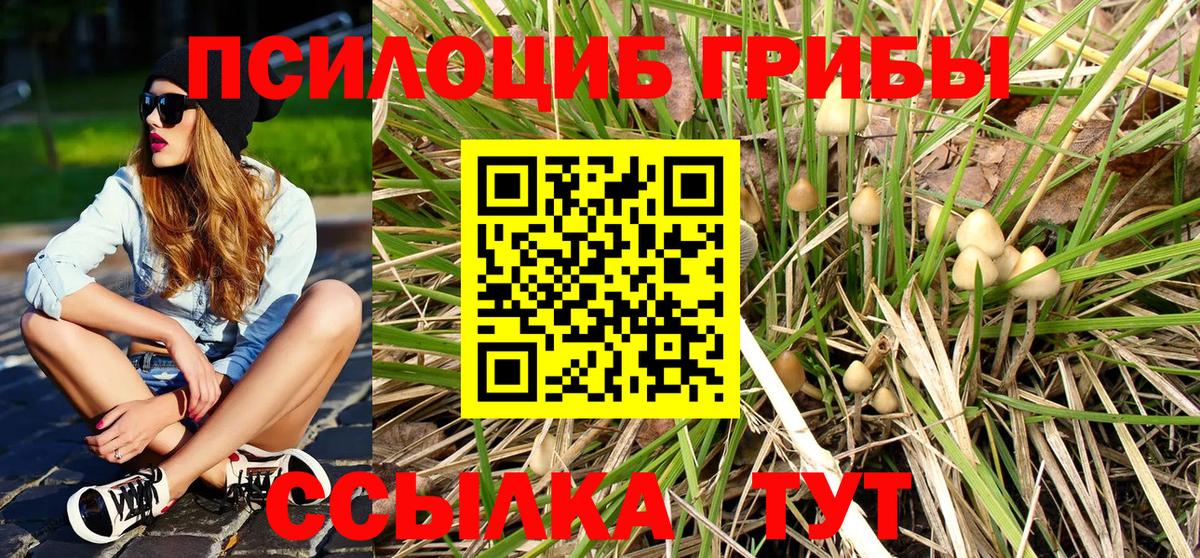 Псилоцибиновые грибы GOLDEN TEACHER Великий Устюг