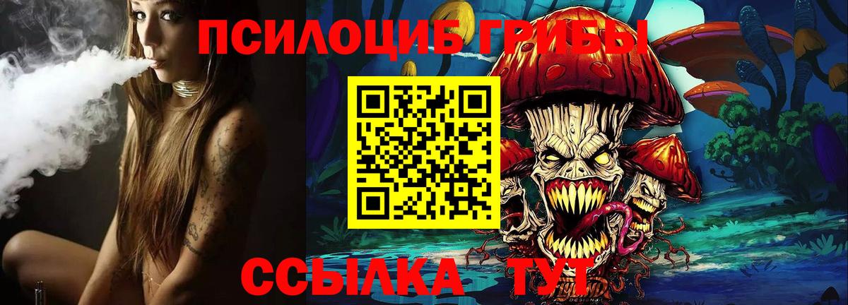 Псилоцибиновые грибы MAGIC MUSHROOMS  наркошоп  Великий Устюг  Вход с VPN 