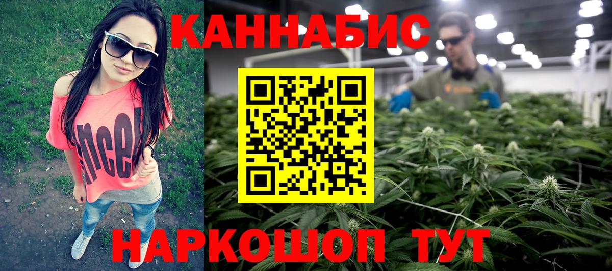Бошки марихуана конопля Великий Устюг